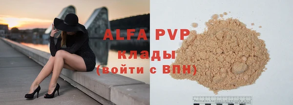 эйфоретик Кукмор
