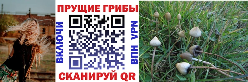 Галлюциногенные грибы мухоморы  блэк спрут ссылки  Ливны  купить наркоту 