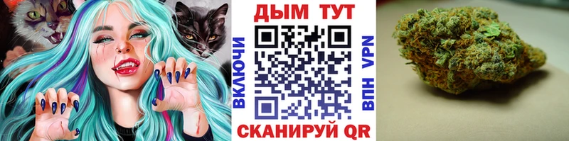 Конопля гибрид  где найти наркотики  hydra   Ливны 